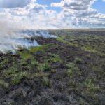 Выжигание сухой растительности — вред природе и человеку